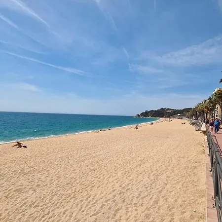 Hauzify I Martin Lloret de Mar